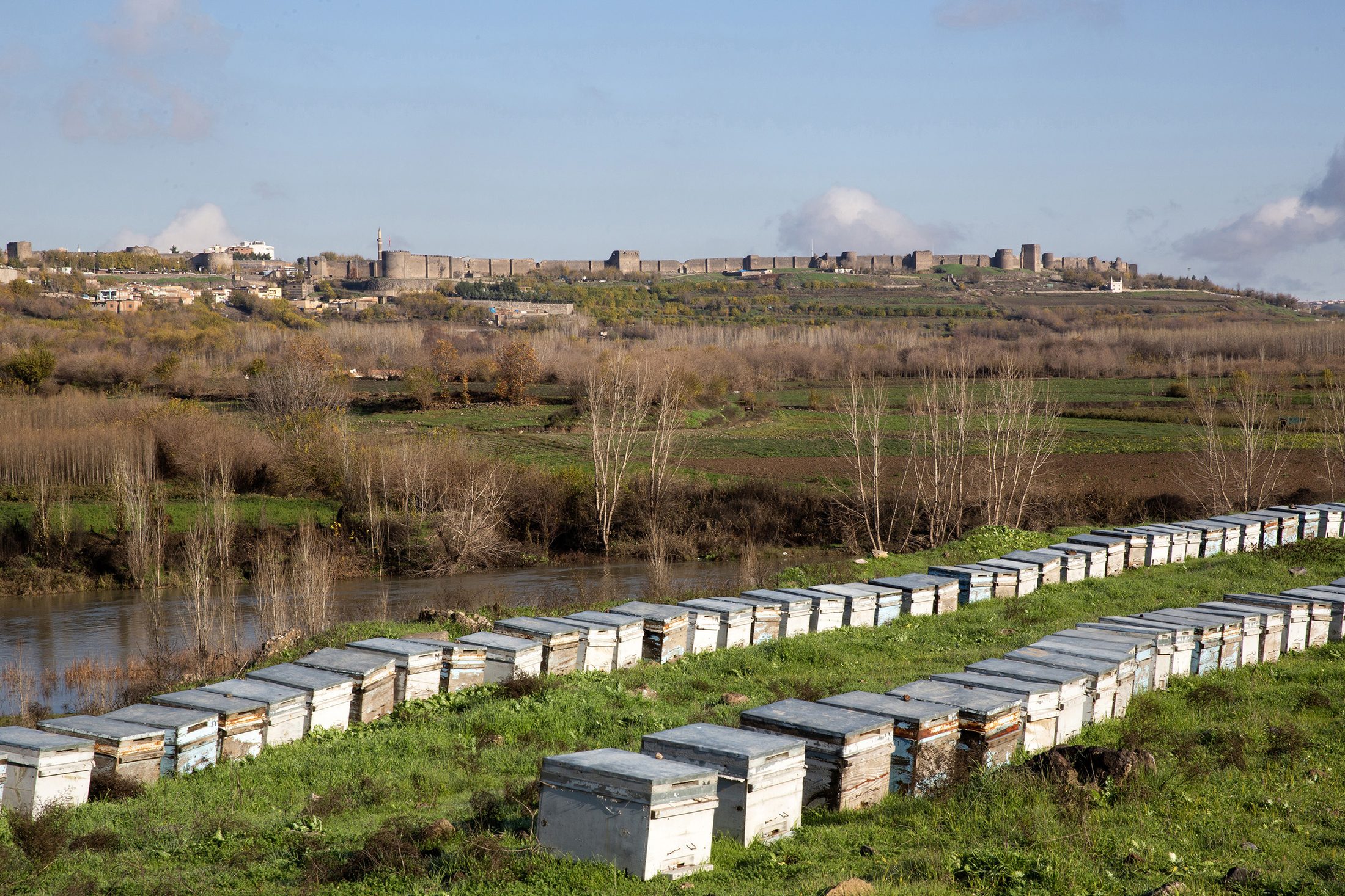 Dicle Valley